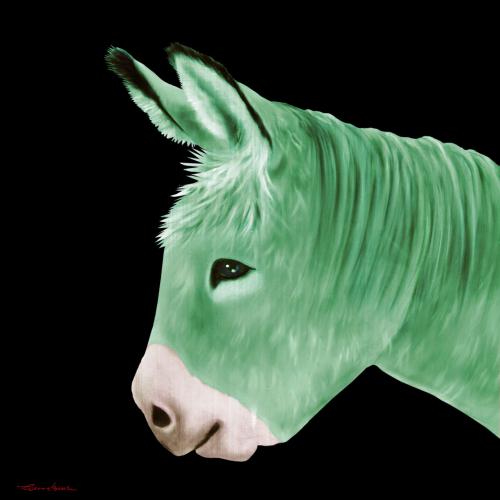 PTIT ANE VERT AMANDE donkey Showroom - Inkjet on plexi, limited editions, numbered and signed. Wildlife painting Art and decoration. Click to select an image, organise your own set, order from the painter on line